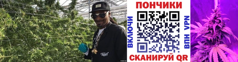 Каннабис MAZAR  Купить где  Кашира 